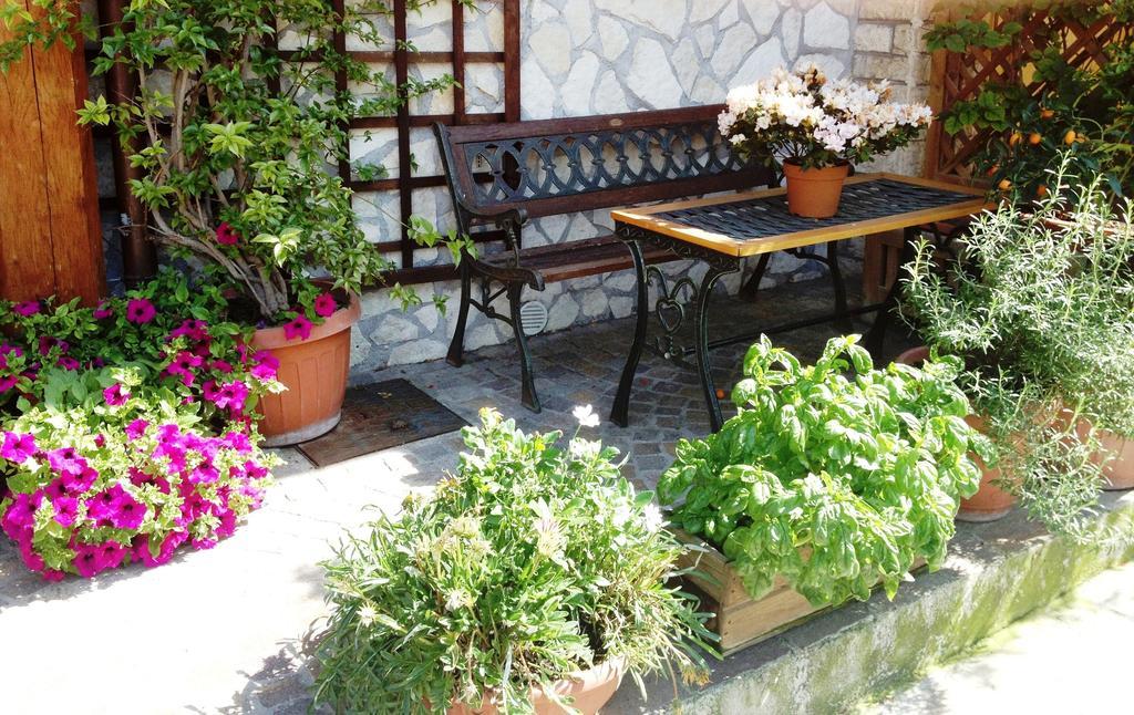 I Gerani Rossi Hotel Rome Exterior photo